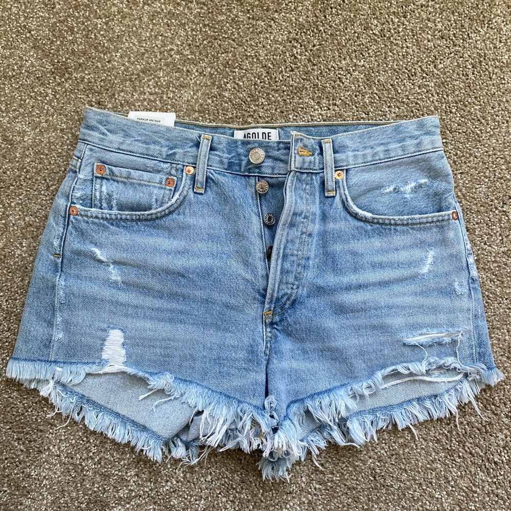 Agolde Parker Vintage Shorts (New with tags)